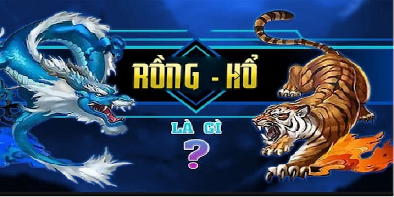 Khám Phá Rồng Hổ 77Bet - Luật Chơi Và Bí Kíp Thắng Lớn 4 Bí kíp chơi đỉnh cao chinh phục rồng hổ 77BET rinh thưởng khủng