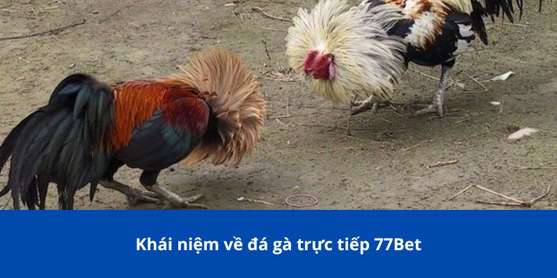 Đá Gà Online Hay Tại 77Bet – Trải Nghiệm Cá Cược Chưa Từng Có 2 Khái niệm về đá gà online hay tại 77Bet